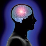 addiction-recovery-and-the-brain